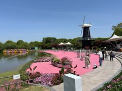 -上海鲜花港
