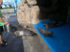 -华夏文旅海洋公园