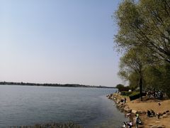 -丁香湖公园