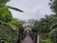 -苏州湾·王焰温泉