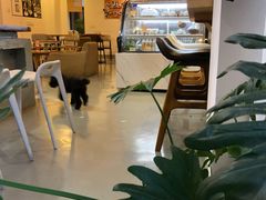 -唐咖精品咖啡(大理古城手冲店)