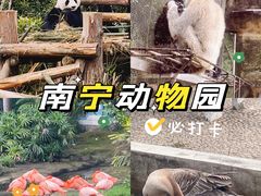 -南宁市动物园