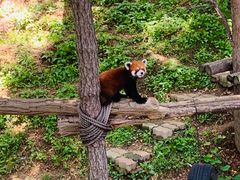 -大连森林动物园