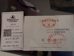 -迪士尼乐园停车场