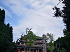 -武陵山森林公园