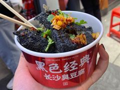 黑色经典臭豆腐-黑色经典臭豆腐·湖南特产(潇湘文化店)