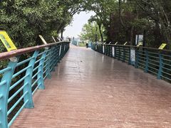 -吴淞炮台湾湿地森林公园烧烤区