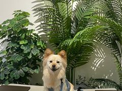 -Oasis coffee燕谷咖啡(公信店)