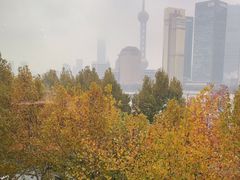 -上海滩餐厅(BFC外滩金融中心店)