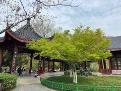 -堤角公园