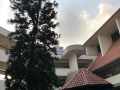 -香港大学