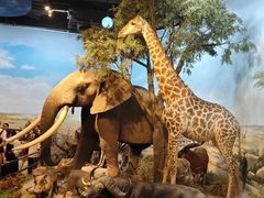 -陕西自然博物馆