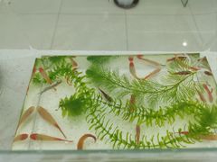 -格林豪泰酒店(合肥步行街大东门地铁站店)