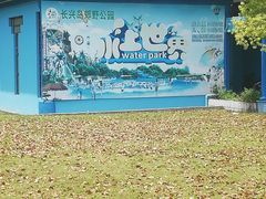 -上海长兴岛郊野公园