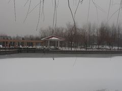 -张店儿童公园
