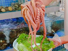 -桔子海鲜烧烤大排档(台东店)