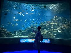 -海合安武汉极地海洋公园