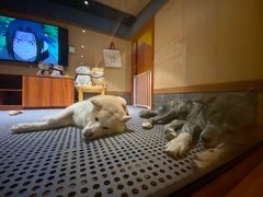 -大江户·温泉洗浴(浑南店)
