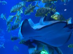 -太平洋海底世界