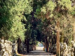 -武陵山森林公园