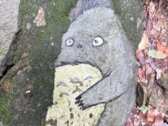 -千岛湖东南湖区
