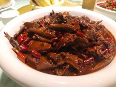 -三强鸽子(中原路店)