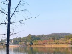 -南国桃园旅游度假区