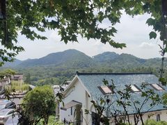 -马灯部落·西湖边的创意山景餐厅(虎跑动物园店)