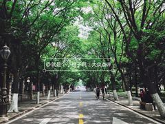 -八大关景区