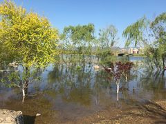 -永定河休闲森林公园