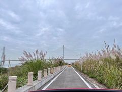 -芒洲湿地公园