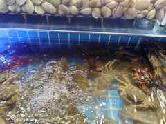 -四囍码头海鲜烧烤自助火锅(外滩南京东路悦荟广场店)