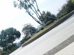 -羊山湖公园