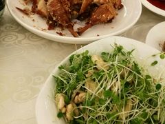 -重阳大酒楼