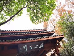 -重庆彩云湖湿地公园