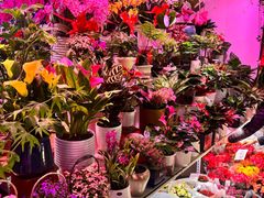 -花鸟鱼虫鲜花绿植市场(玉泉路店)