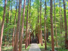 -同里国家湿地公园
