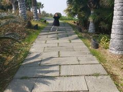 -瑶湖郊野森林公园