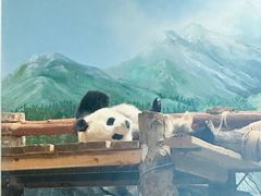 -武汉动物园