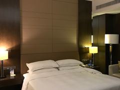 -扬州绿地铂骊酒店