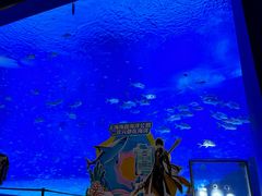 -上海海昌海洋公园