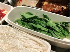 -海底捞火锅(上地华联店)