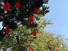 -越秀西湖花市(广州城市广场花卉店)