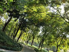 -尚贤河湿地