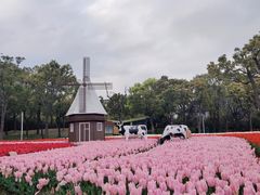 -大宁公园