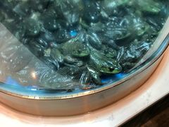 -香坝坝鲜鱼火锅(春熙路店)