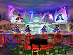 -帝企鹅自助餐厅•儿童岛•真企鹅(长隆企鹅酒店)