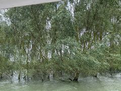 -东寨港红树林旅游区