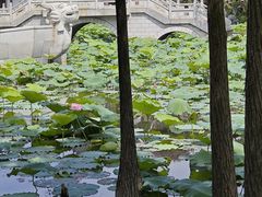 -惠州西湖丰渚园