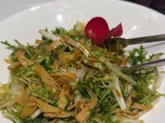 -海派美食·家宴海鲜青岛菜·石锅鲽鱼头(东方城店)